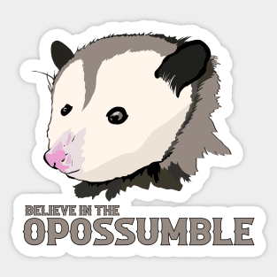 Believe in the Impossible Motivational Possum Sticker